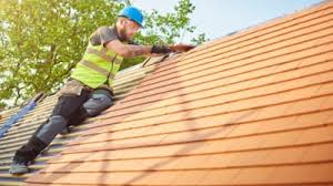 Best Roof Coating and Sealing  in Nogales, AZ