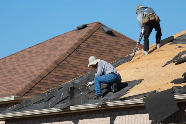 Best Roof Leak Repair  in Nogales, AZ