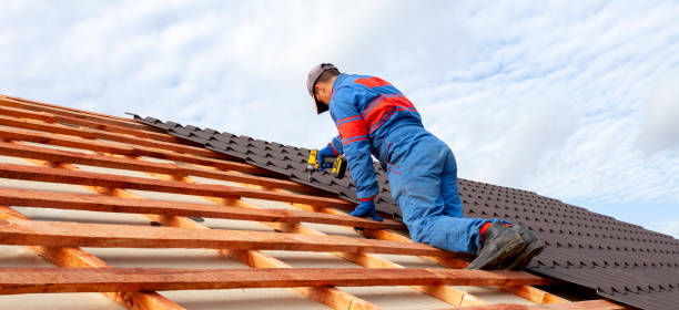 Fast & Reliable Emergency Roof Repairs in Nogales, AZ